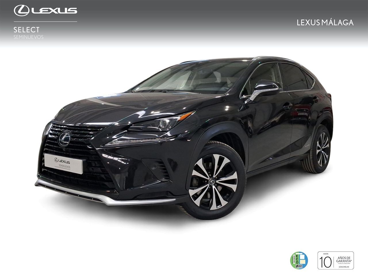LEXUS NX (2.5 300h Premium 2WD) en Málaga