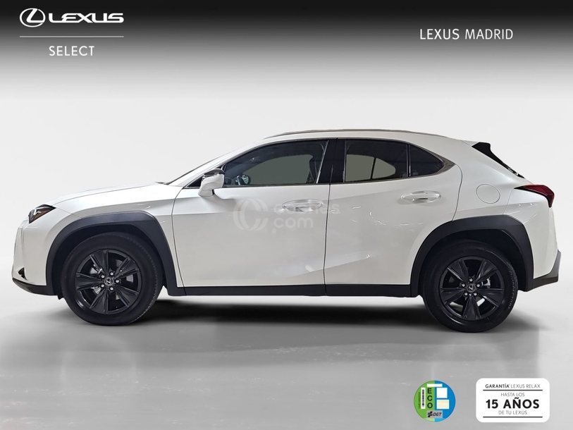 Foto del LEXUS UX 300h UX+