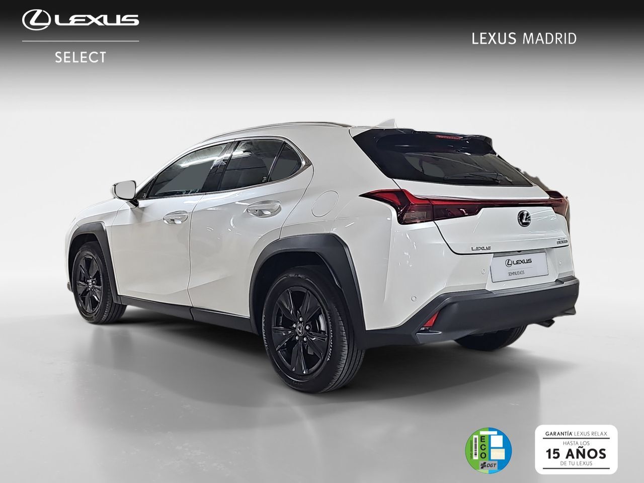 Foto del LEXUS UX 300h UX+