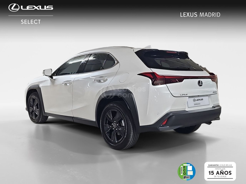 Foto del LEXUS UX 300h UX+