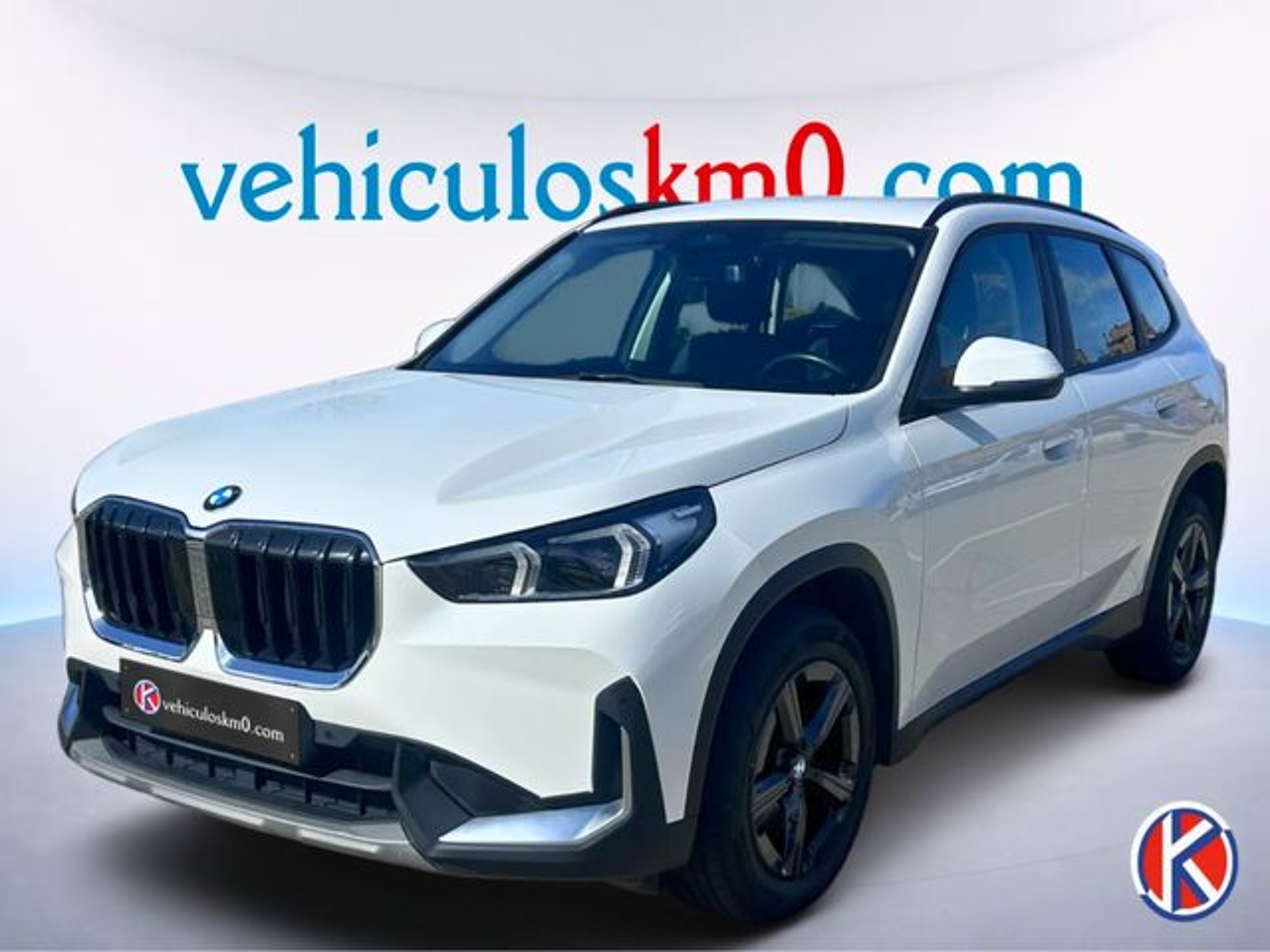 Imagen de BMW X1