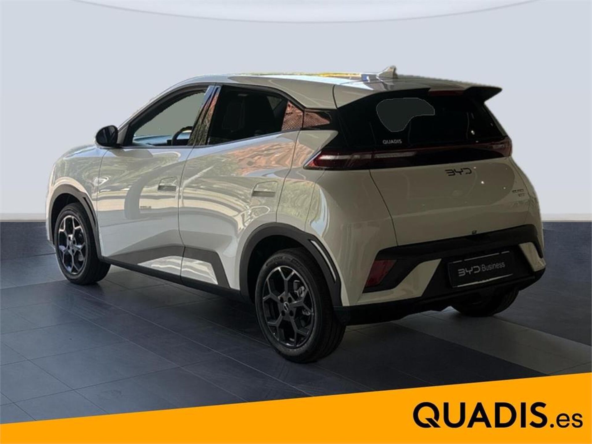 Imagen 2 de BYD Dolphin Surf