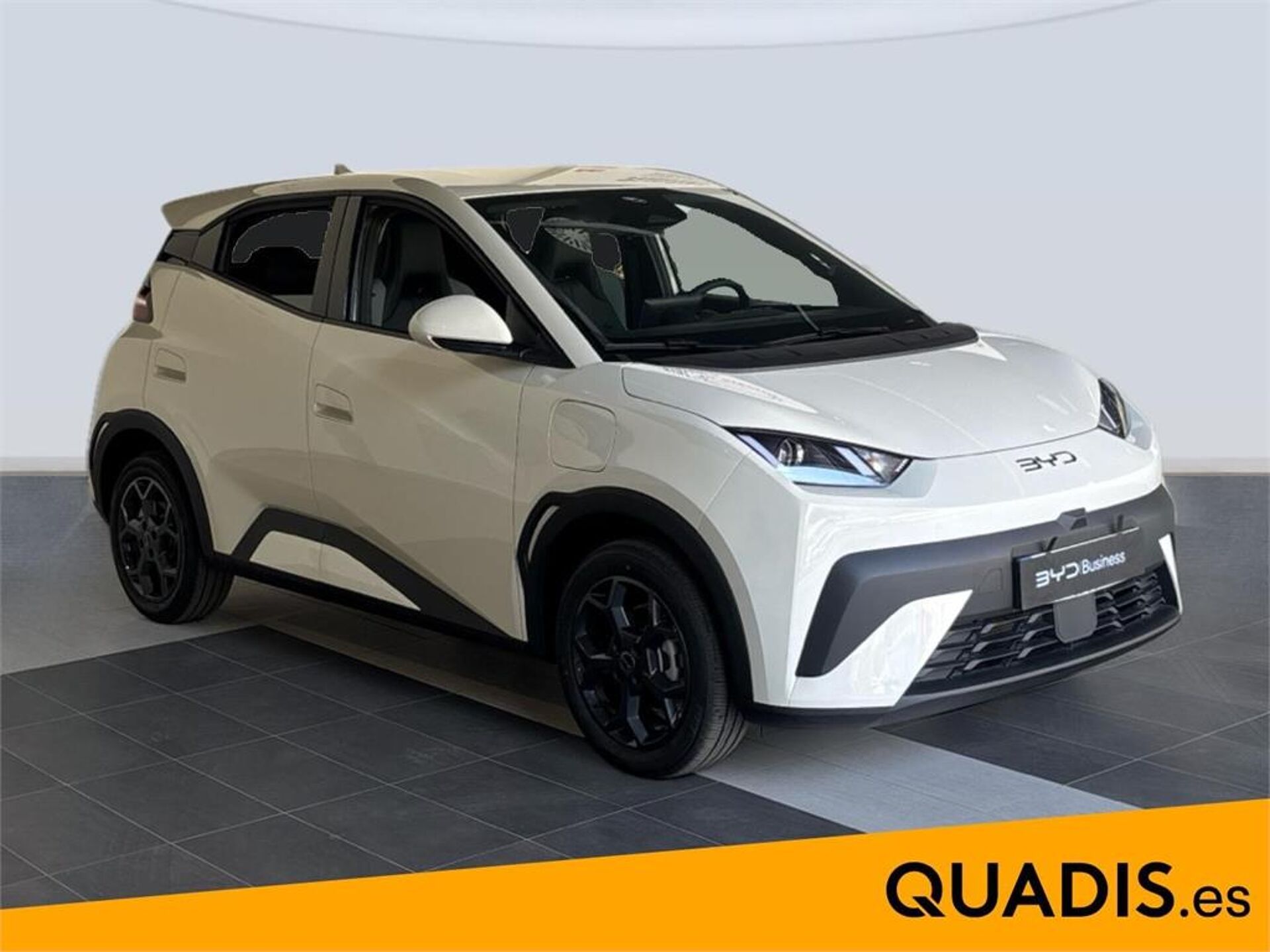 Imagen 3 de BYD Dolphin Surf