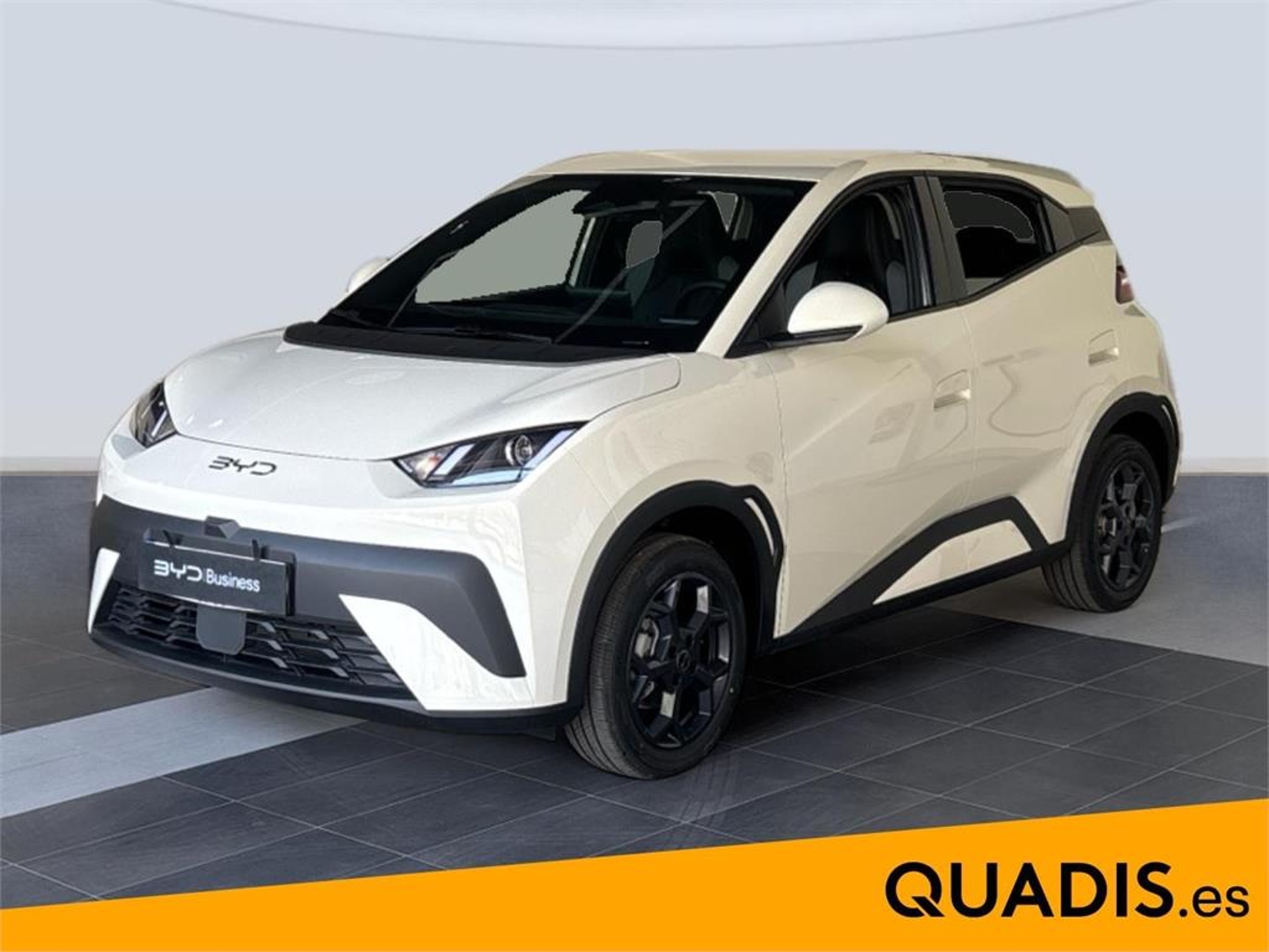 Imagen de BYD Dolphin Surf