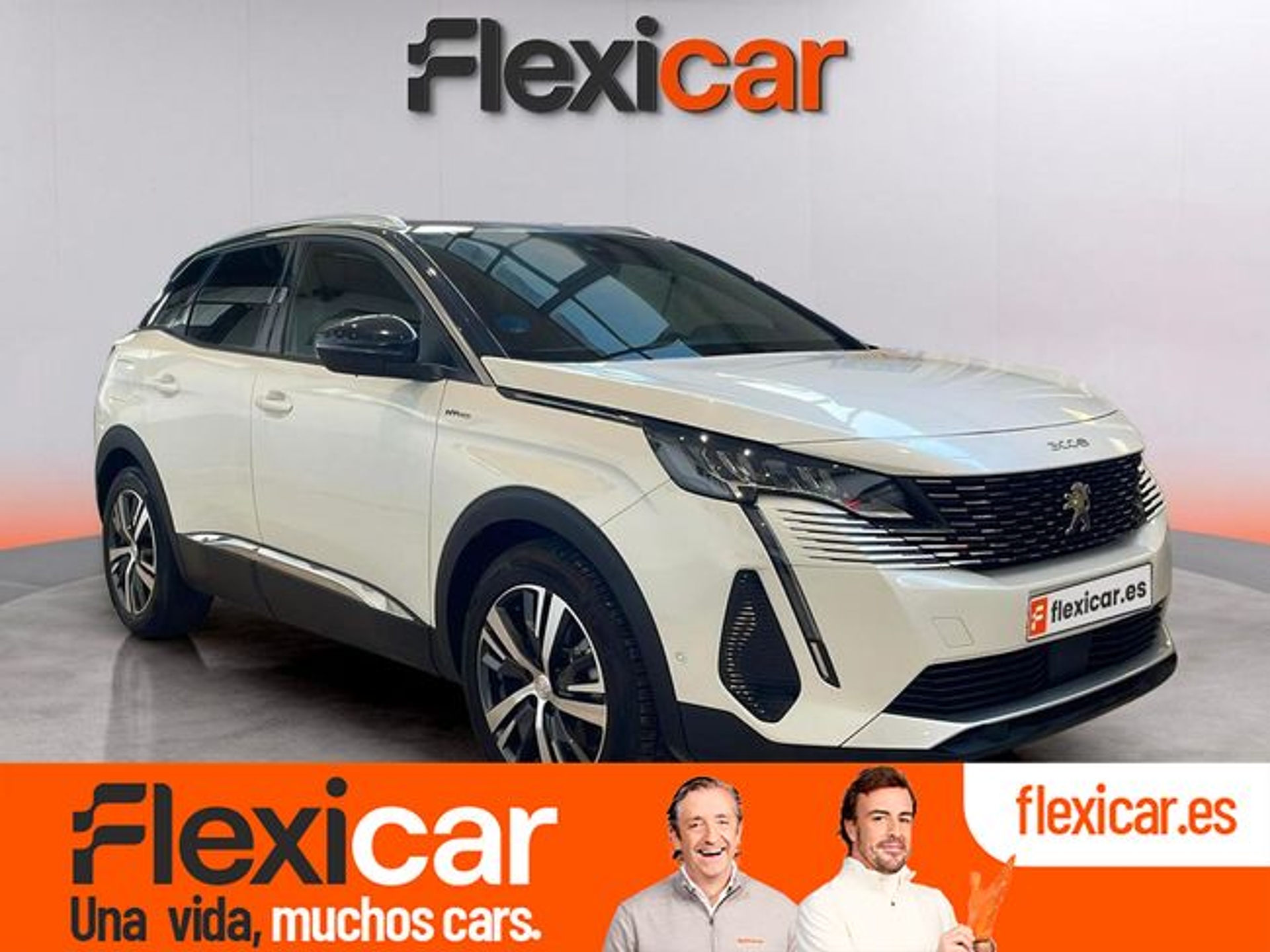 Imagen de PEUGEOT 3008