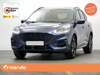 Imagen de FORD Kuga 1.5 EcoBoost ST-Line X FWD 150