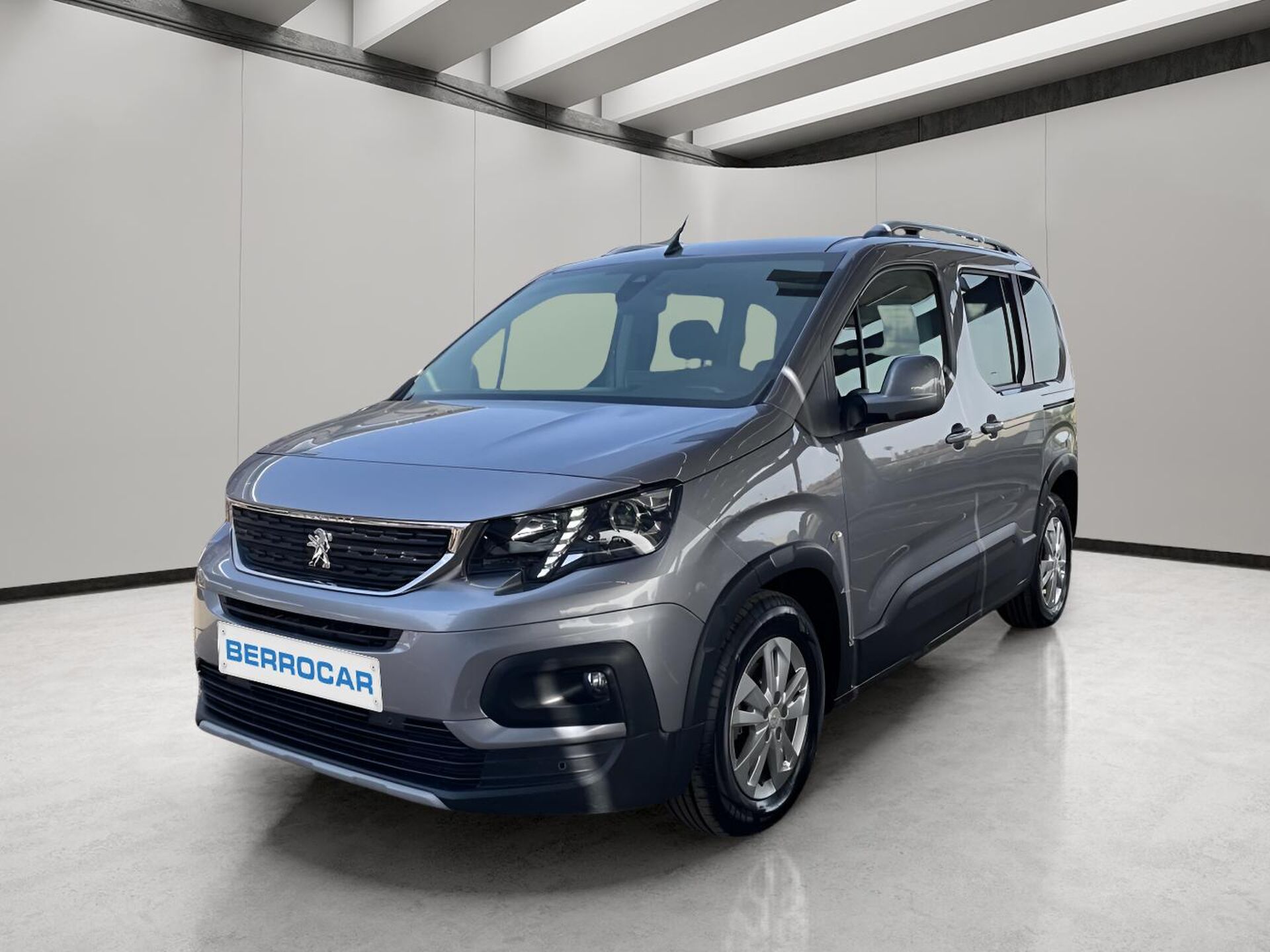 Imagen de PEUGEOT Rifter