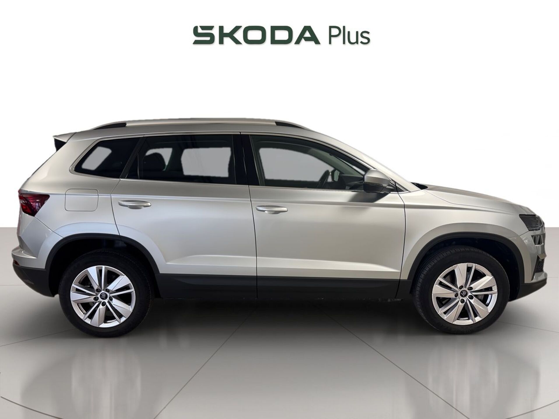 Imagen 3 de SKODA Karoq