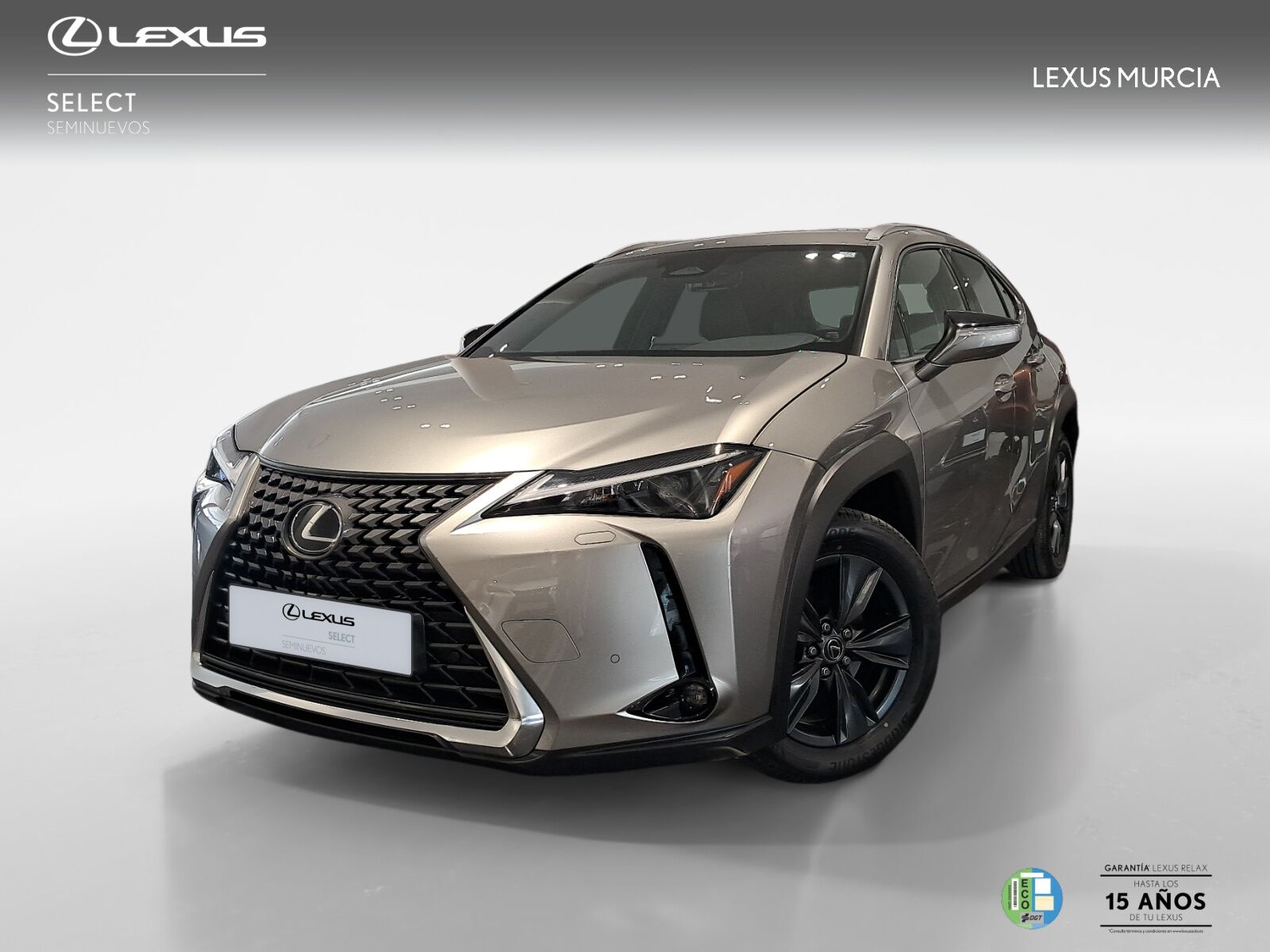LEXUS UX (300h UX+ 4x2) en Murcia