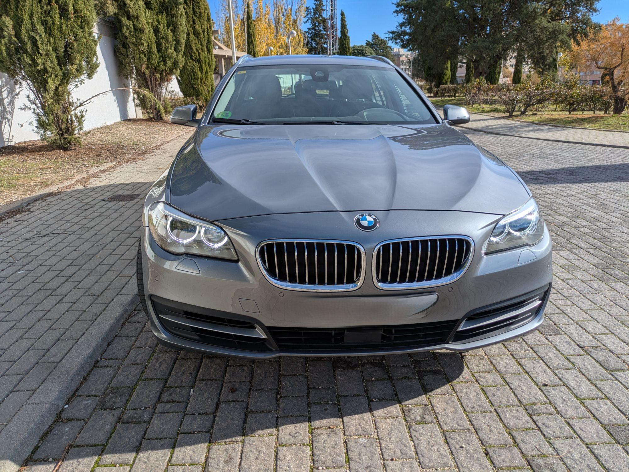 Foto del BMW Serie 5 535dA xDrive