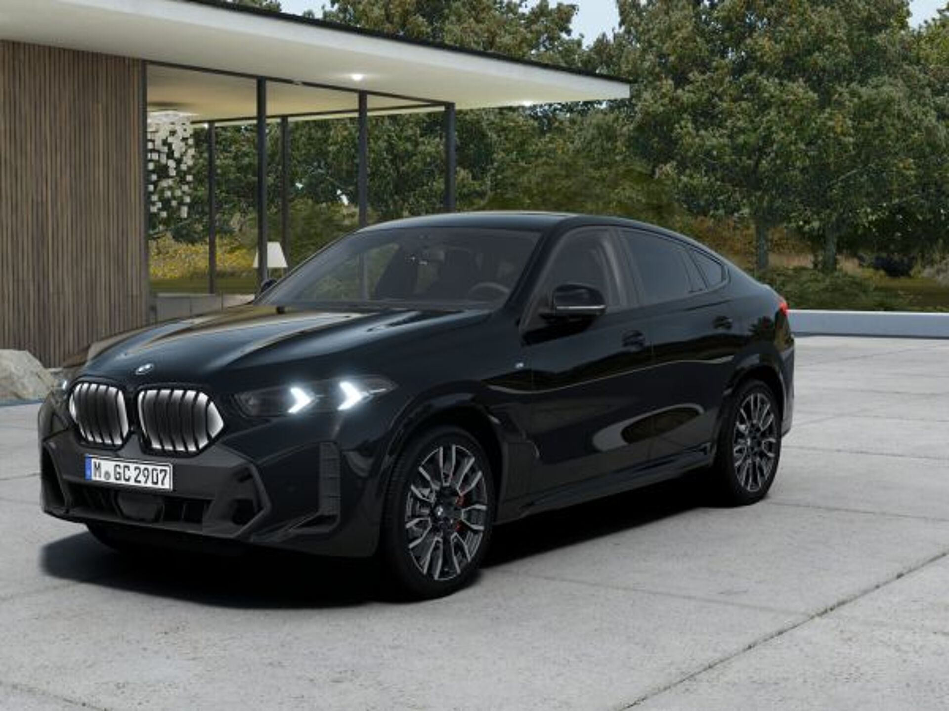 Imagen 1 de BMW X6
