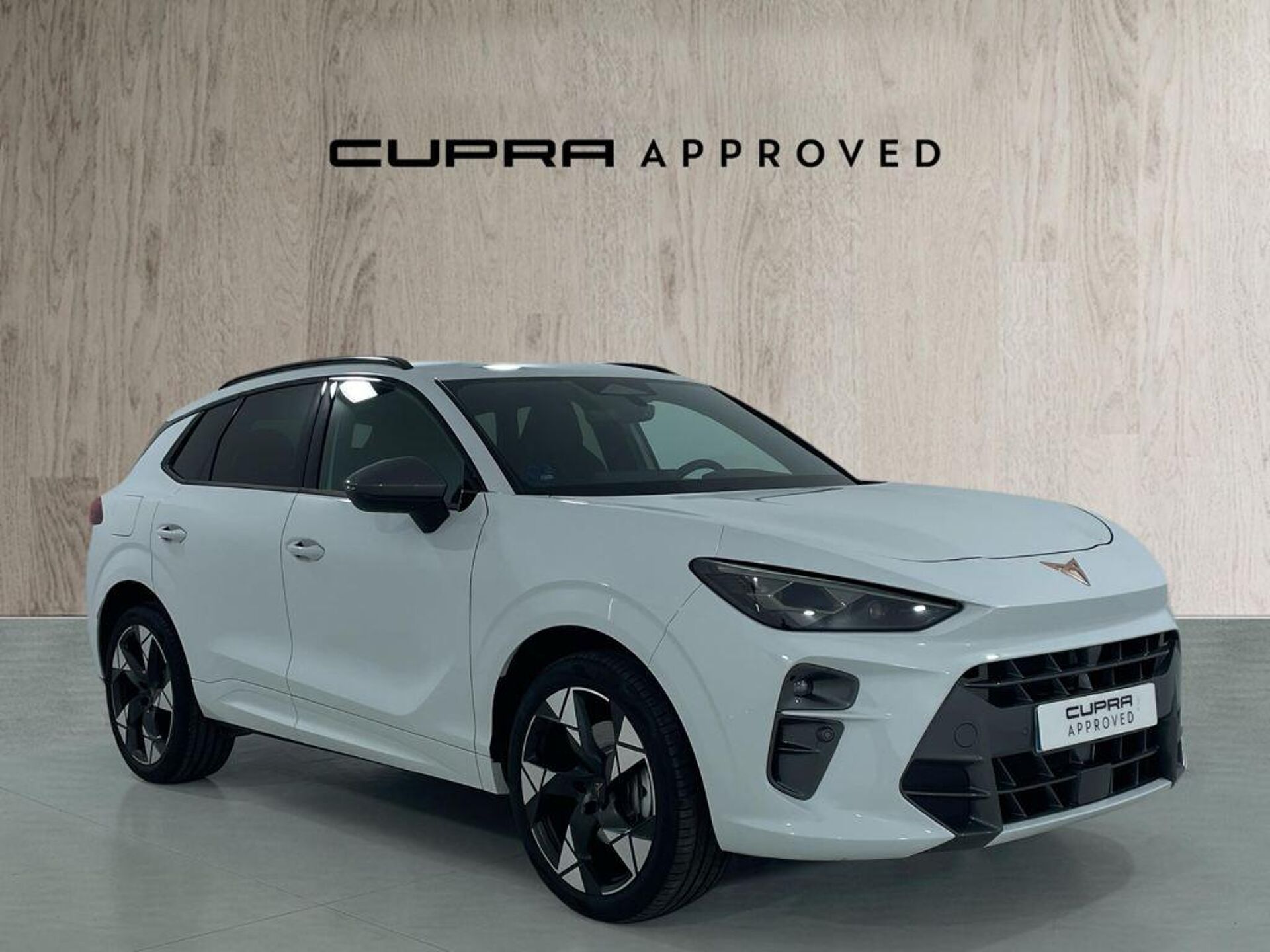 Imagen 1 de CUPRA Terramar