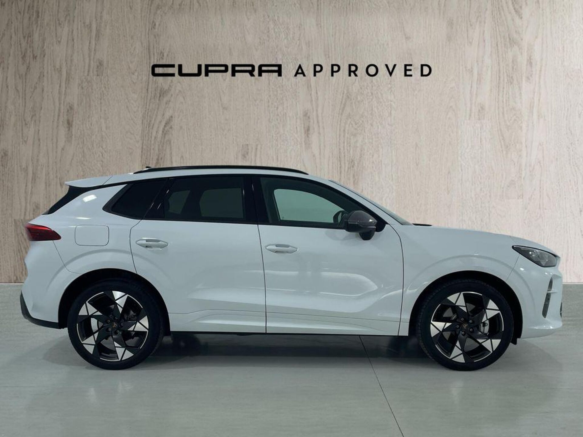 Imagen 3 de CUPRA Terramar
