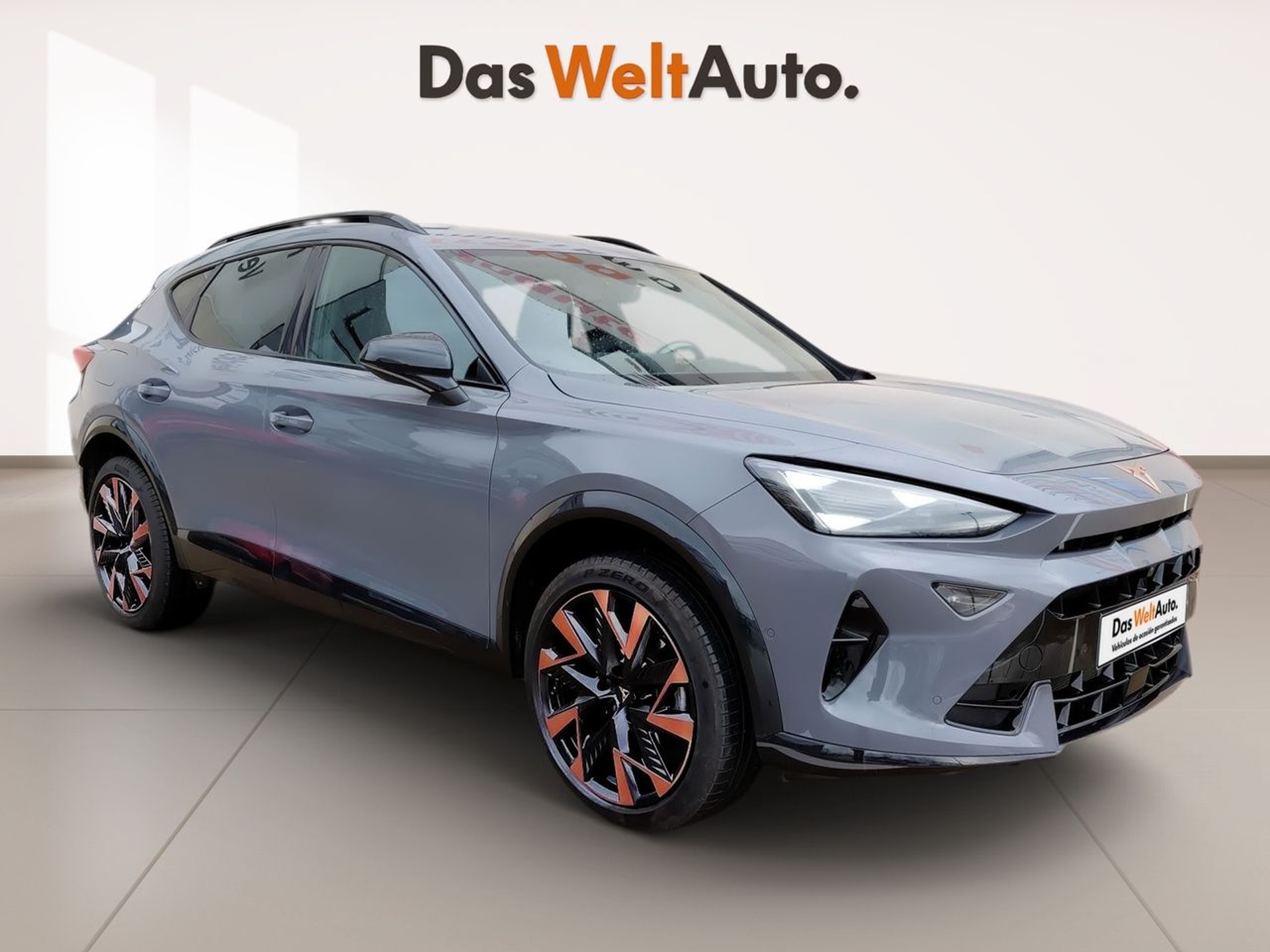 Imagen de CUPRA Formentor