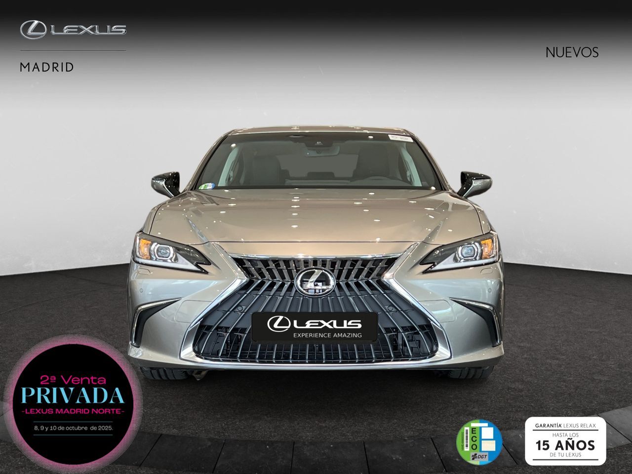LEXUS ES (2.5 300h Premium) en Madrid