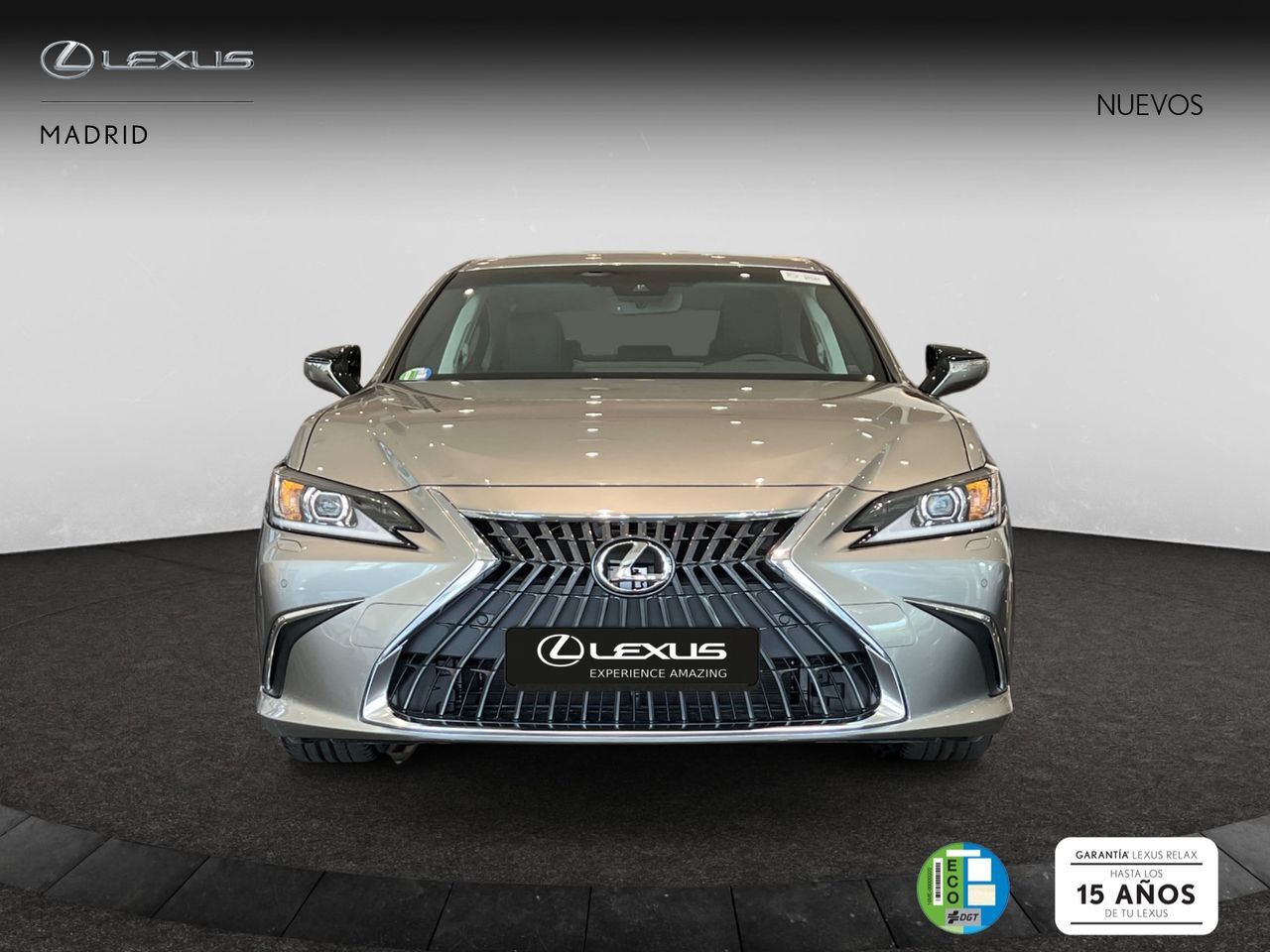 LEXUS ES (2.5 300h Premium) en Madrid