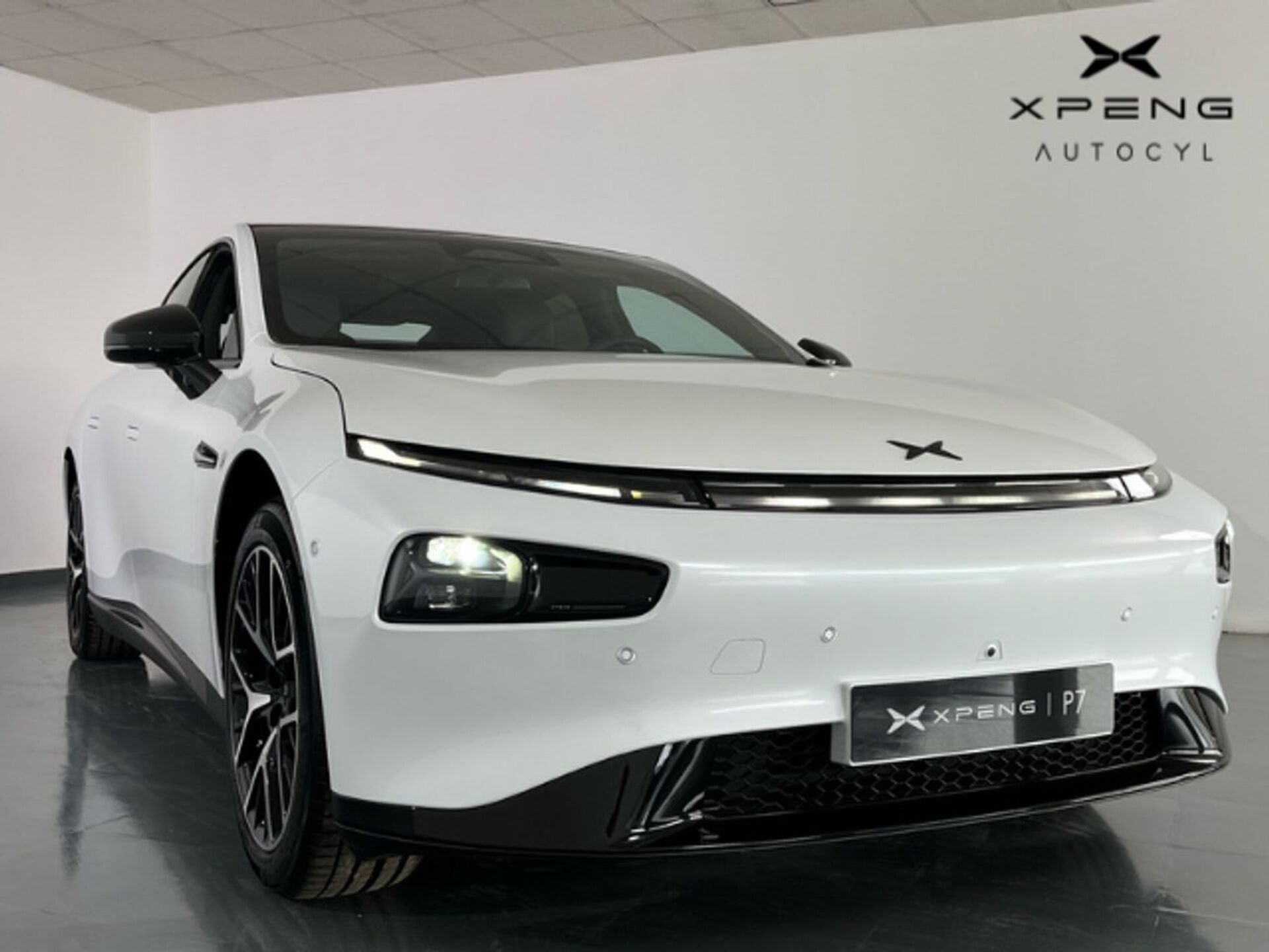 Imagen de XPENG P7