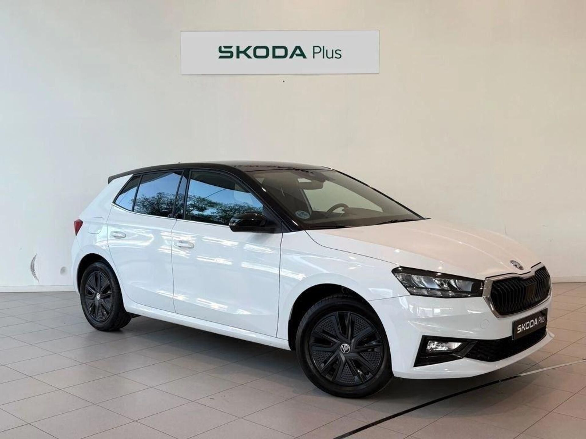 Imagen 1 de SKODA Fabia