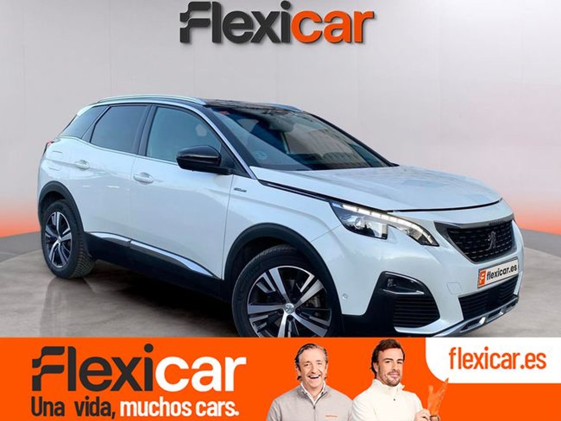 Imagen de PEUGEOT 3008