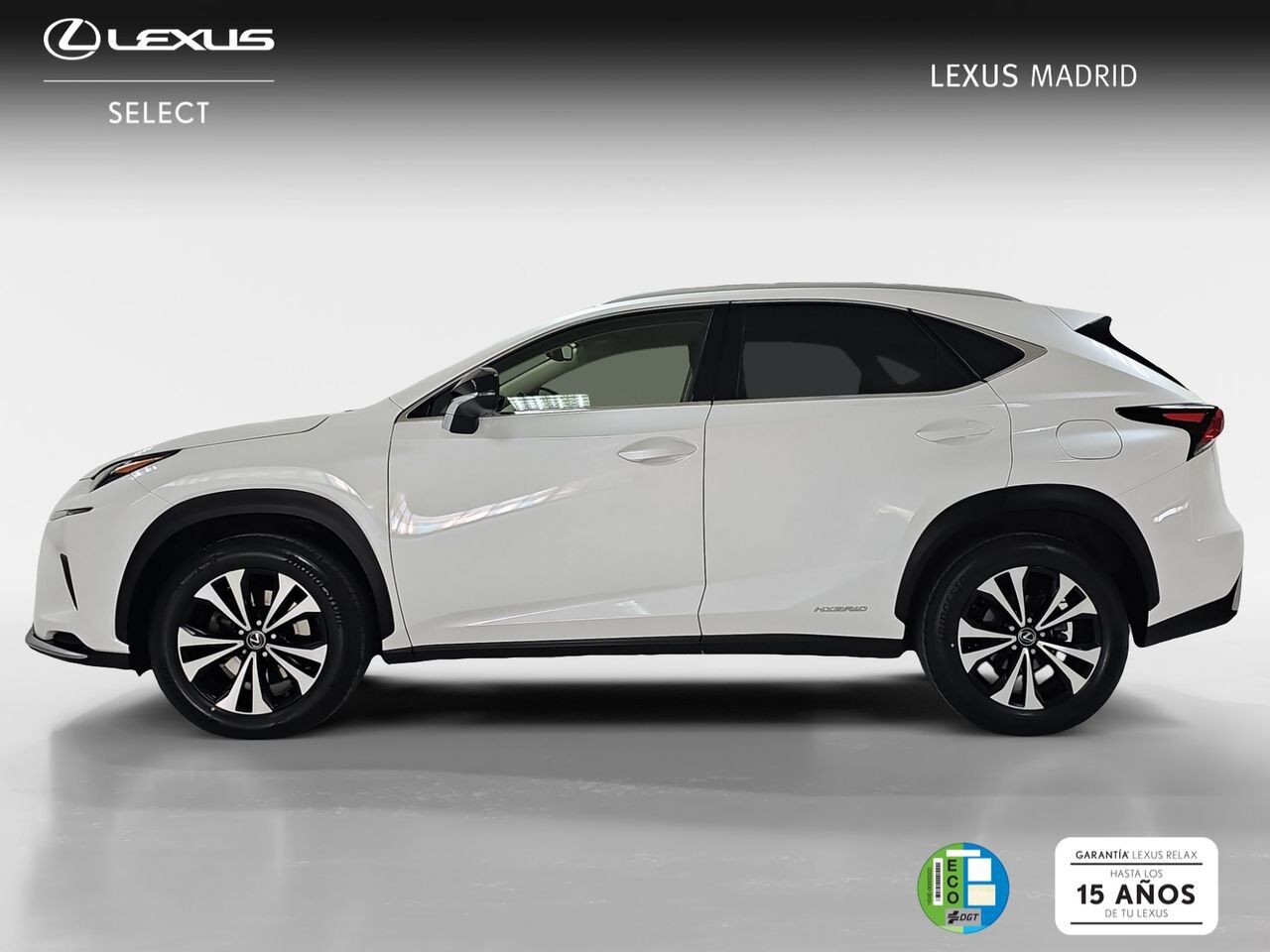 Foto del LEXUS NX 300h Premium 2WD