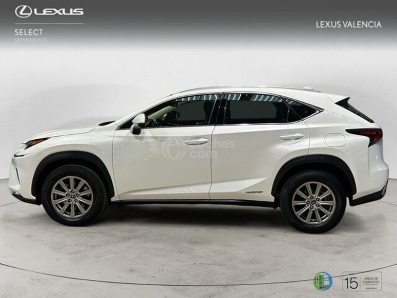 Foto del LEXUS NX 300h Eco 2WD