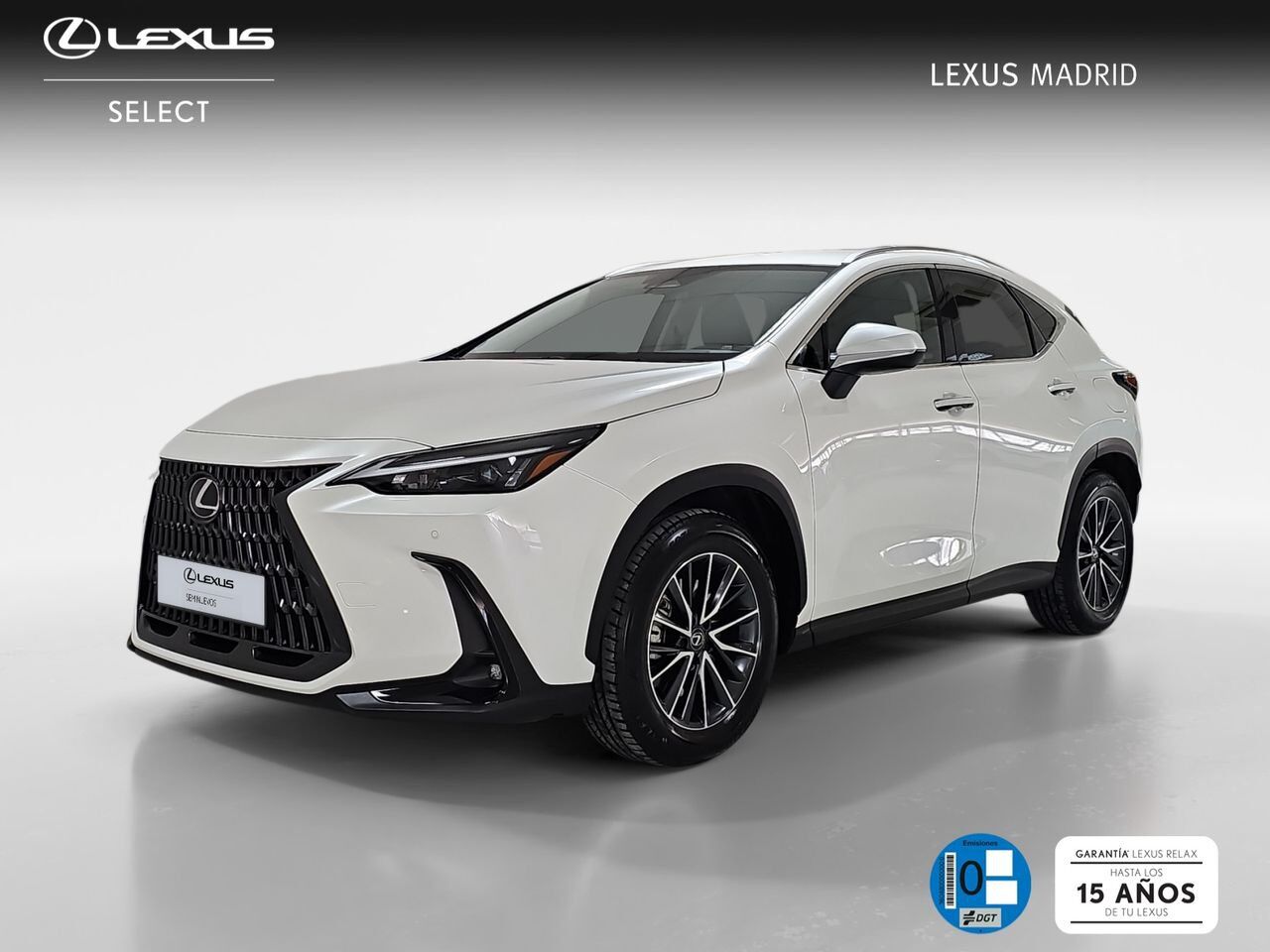 Foto del LEXUS NX 450h+ Premium+ 4WD