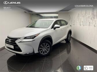 Imagen de LEXUS NX 300h Business 2WD