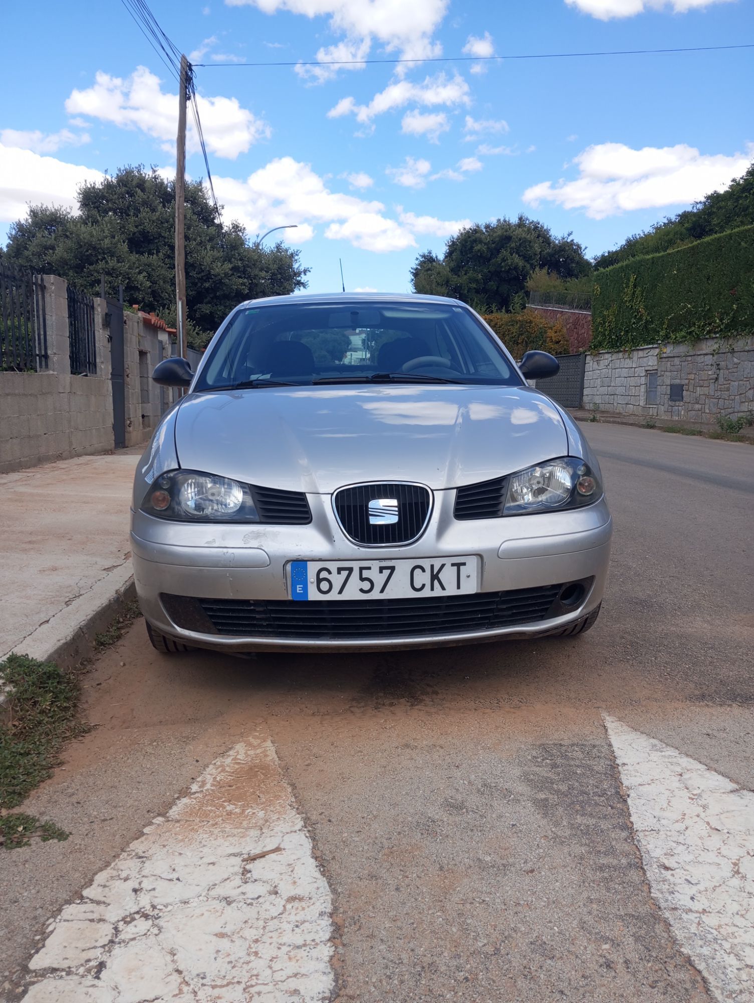 Foto del SEAT Ibiza 1.9 SDi Stella