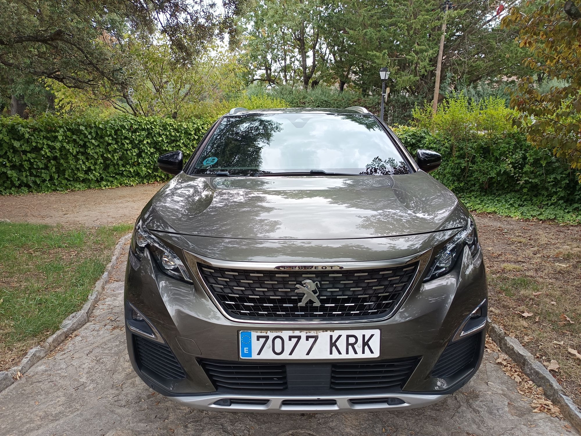 Imagen de PEUGEOT 5008