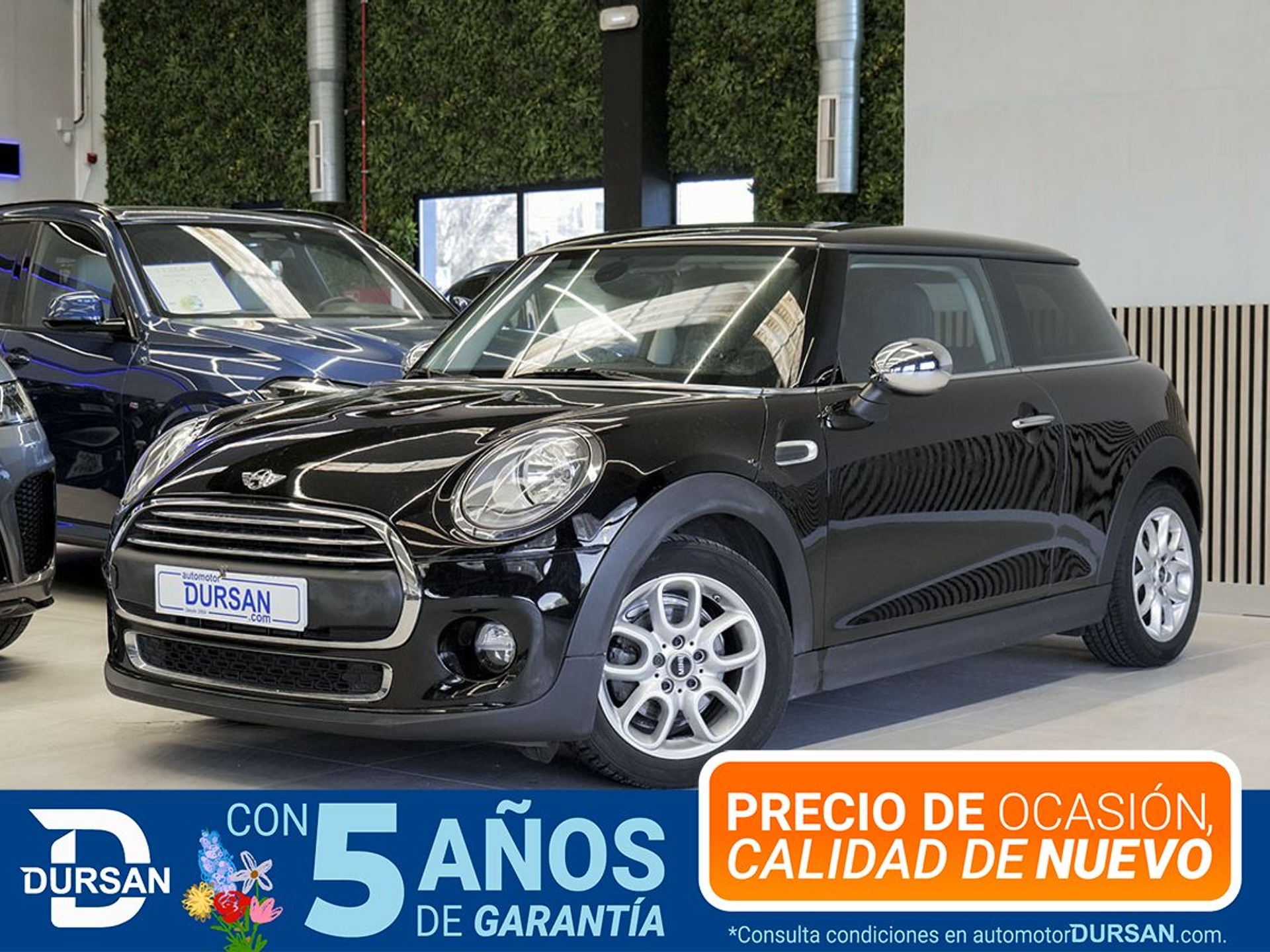 Imagen de MINI Mini