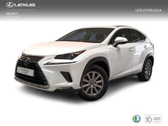 Imagen de LEXUS NX 300h Business Navigation 2WD