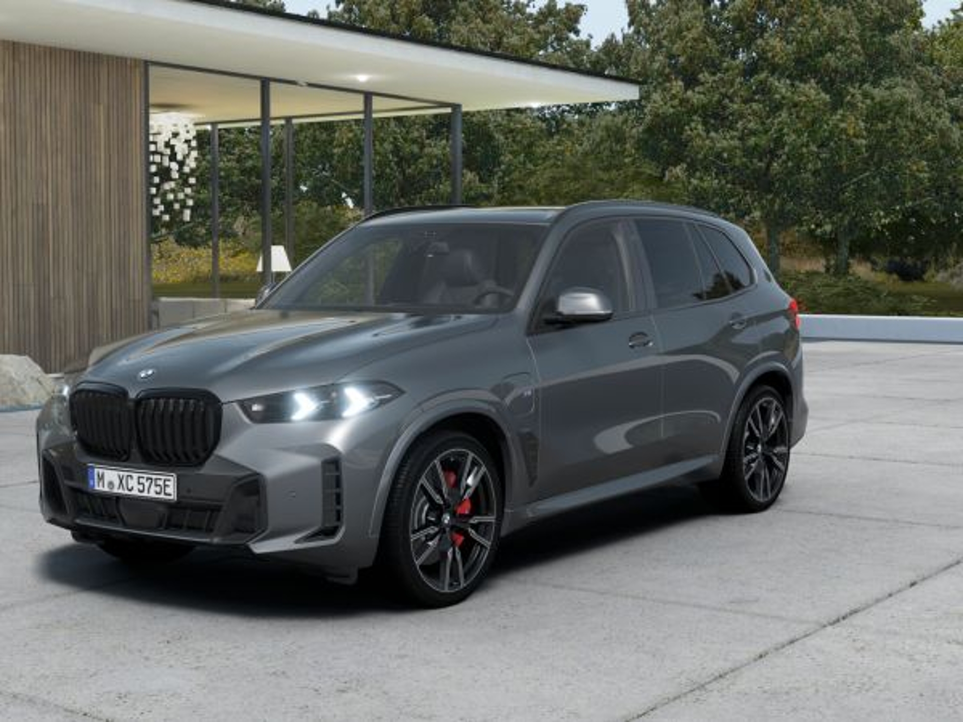 Imagen de BMW X5