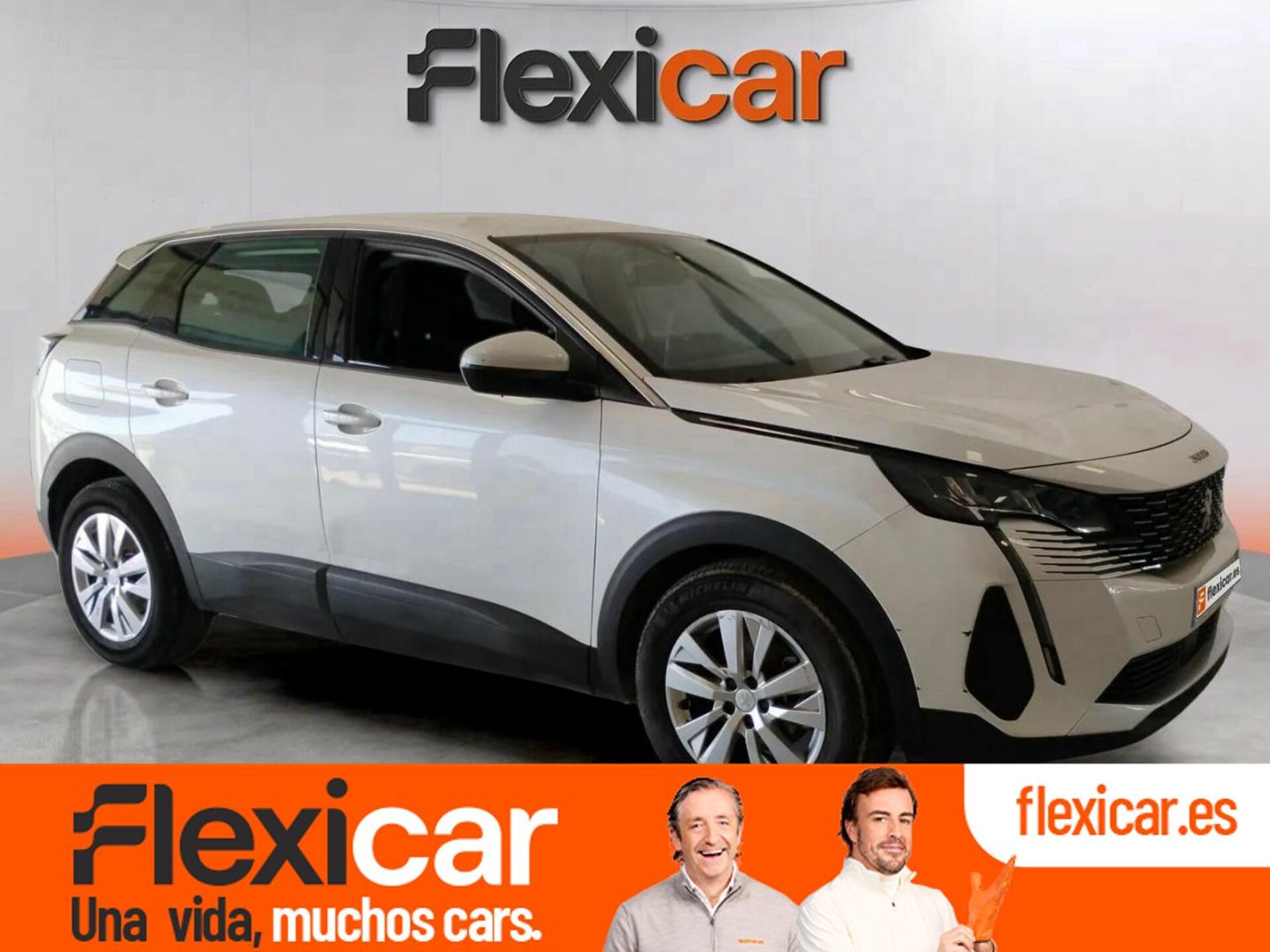 Imagen de PEUGEOT 3008