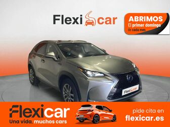 Imagen de LEXUS NX 300h Business 2WD
