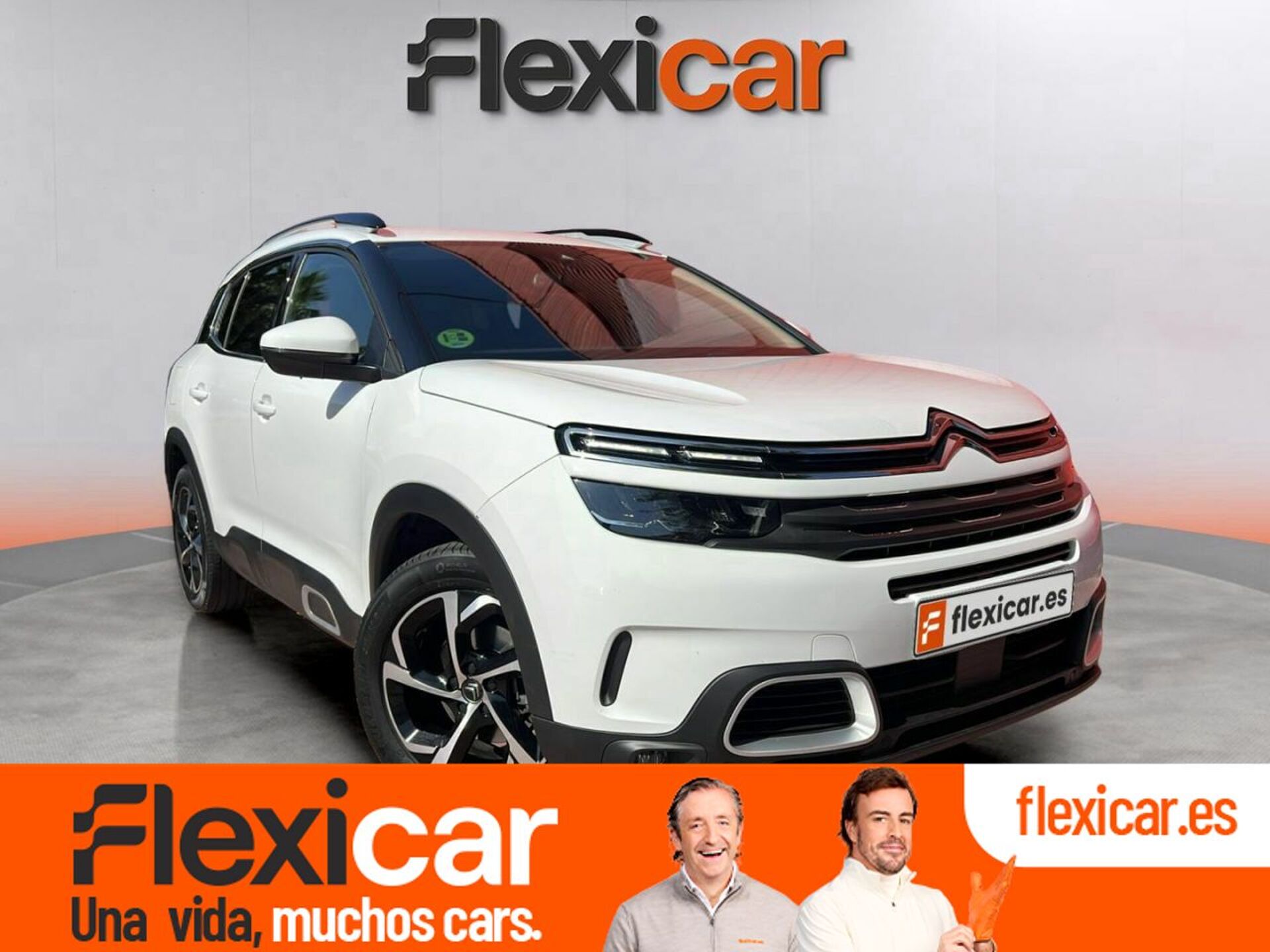 Imagen de CITROEN C5 Aircross