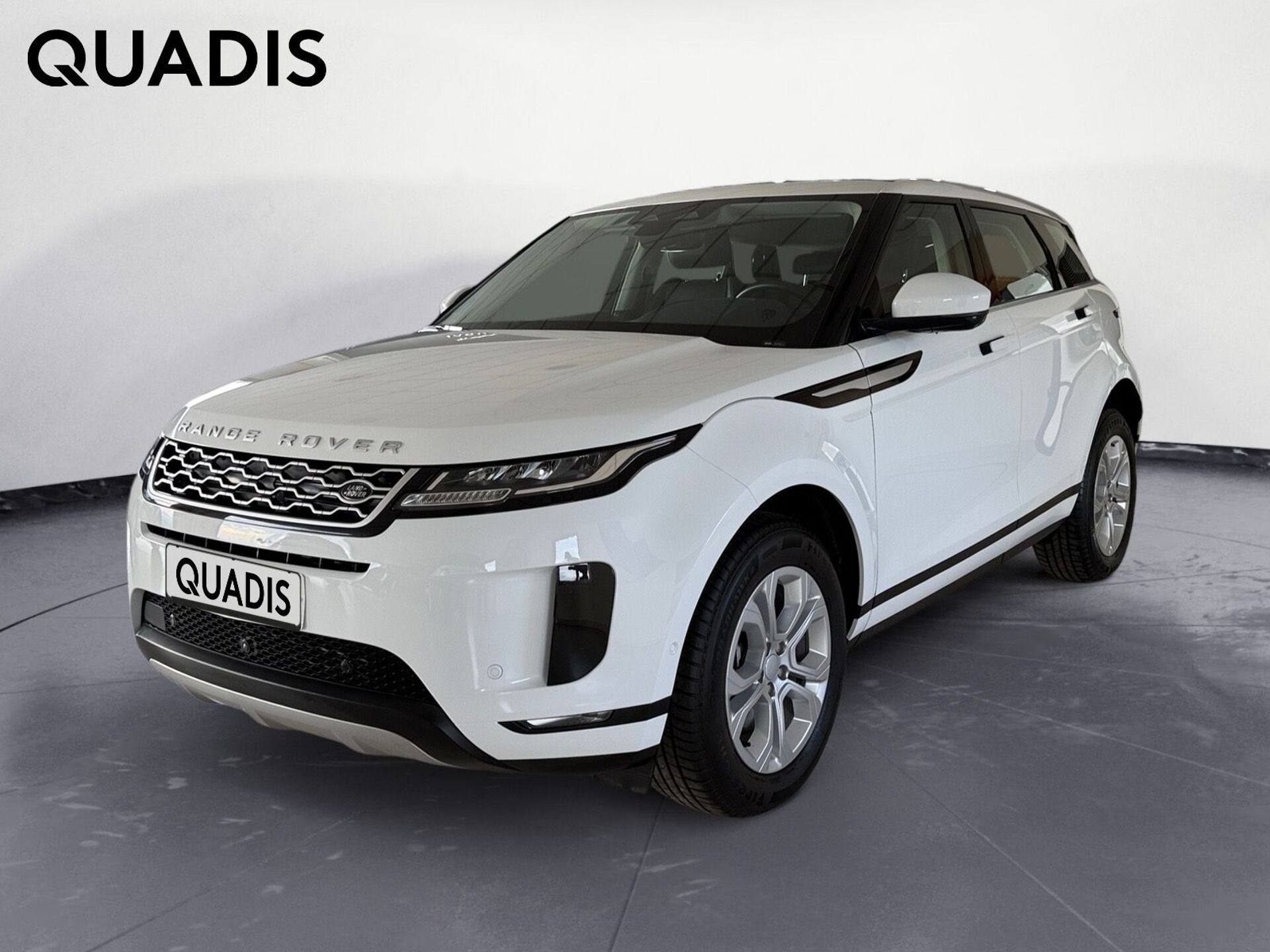 Imagen 1 de LAND ROVER Range Rover Evoque