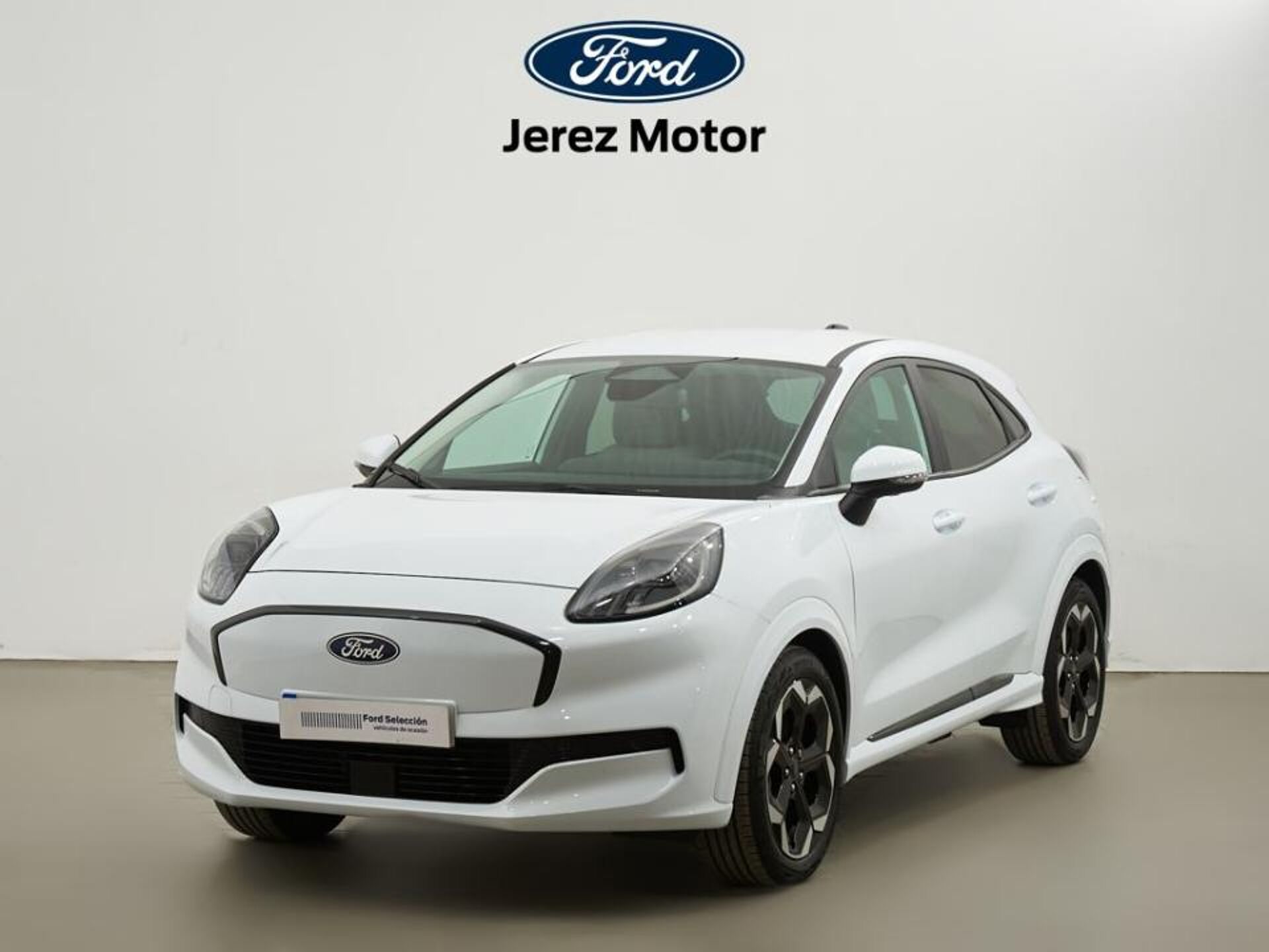 Imagen 1 de FORD Puma