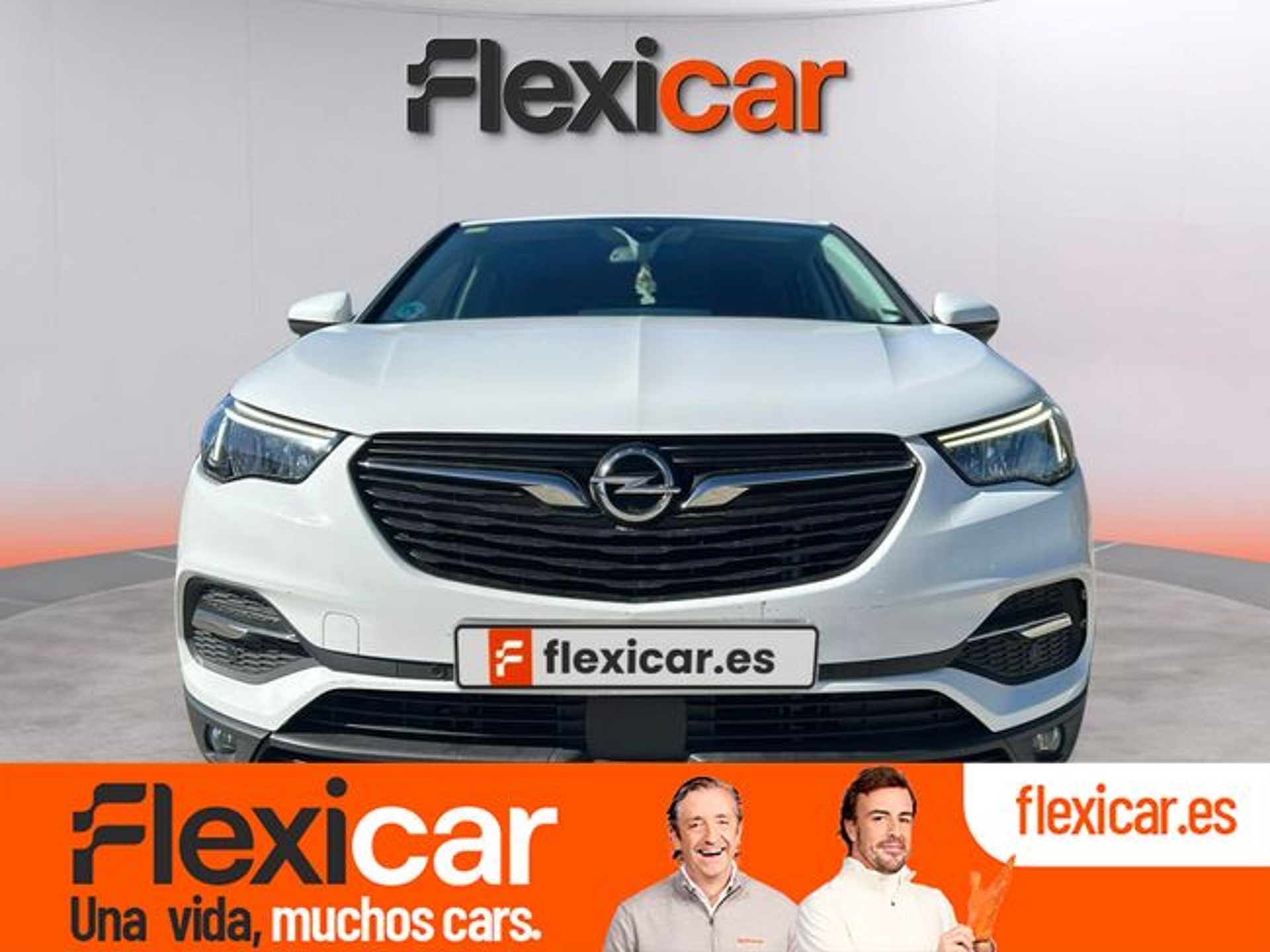 Imagen de OPEL Grandland X