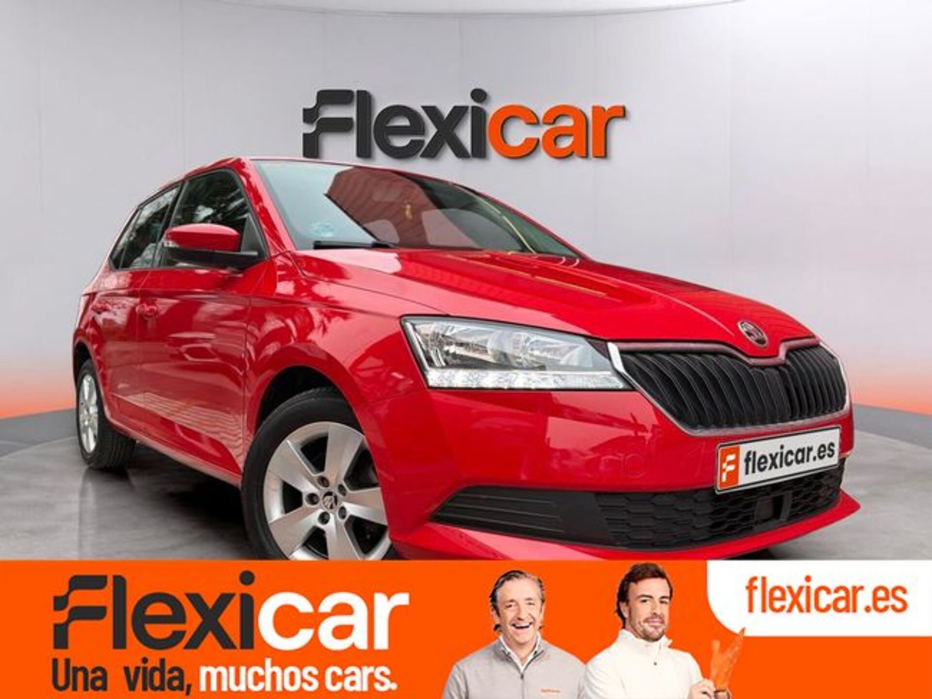 Imagen 1 de SKODA Fabia