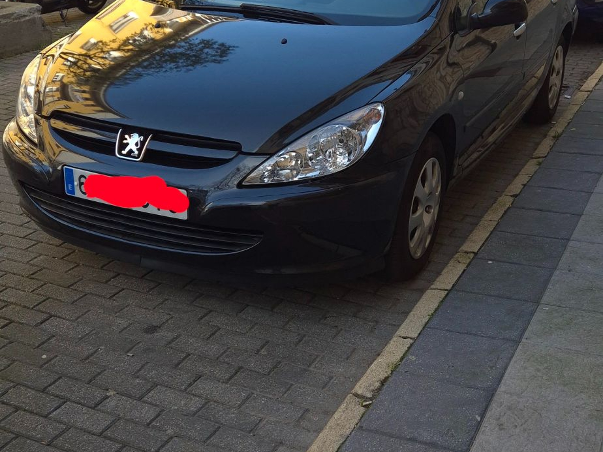 Imagen de PEUGEOT 307