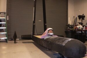 Blackbird P2 300x202