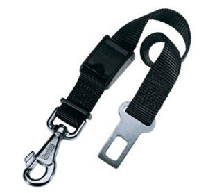 Cinturon Seguridad 001 300x278