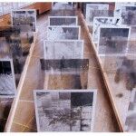 Coche Camara9 150x150