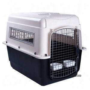 Transportines 001 300x300