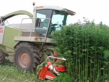 ¿Un futuro coche eléctrico de cannabis en Canadá?