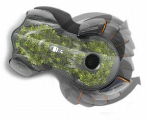 Photosynthesis Car 1 300x245