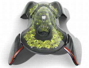 Photosynthesis Car 3 300x229