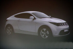 Hibrido Ruso5 300x199