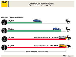 Velocidad de impacto contra un animal