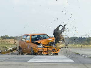 Crash-Test contra animal salvaje